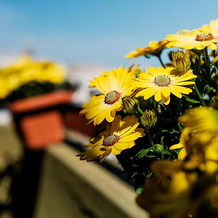 Casa Nilla * Monopoli