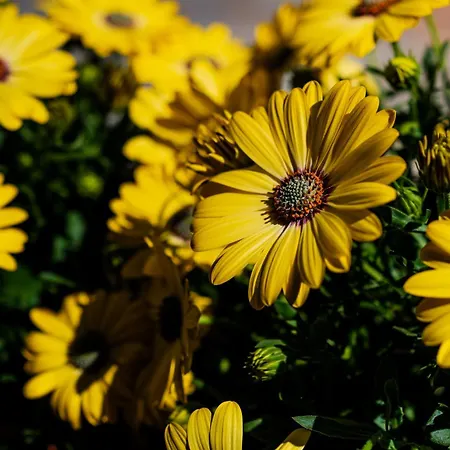 Lägenhet Casa Nilla